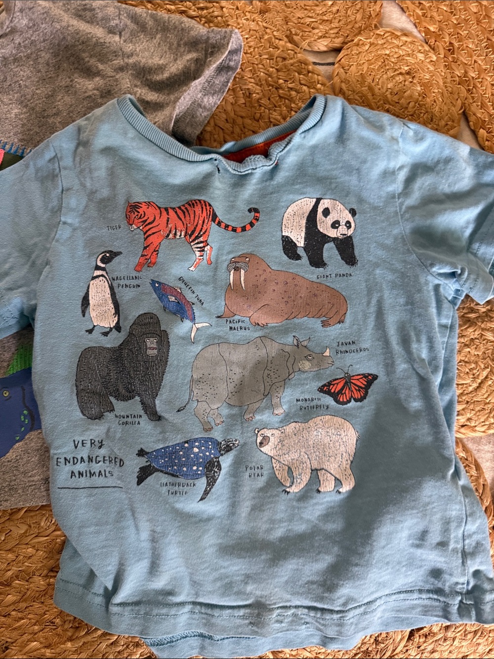 Mini Boden Tee Set Animal Dino Applique Tshirt Set lot. Size 3T-4T ***read*** - Picture 4 of 8